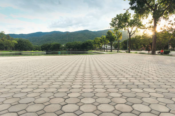 Best Driveway Repair Near Me  in Claypool Hill, VA