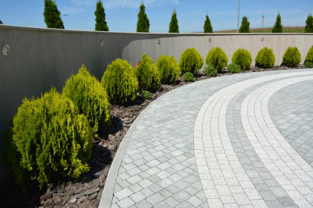 Best Concrete Paver Driveway  in Claypool Hill, VA